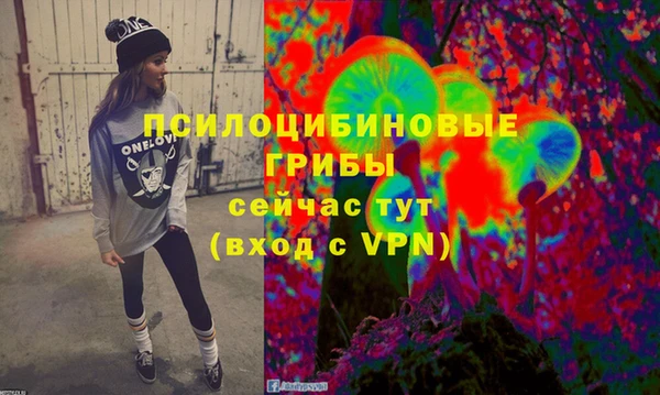 молекула духа Алексин