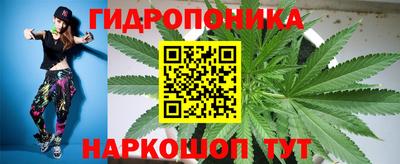 spice Гай
