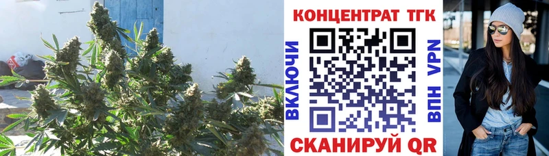 где купить наркоту  Карачаевск  Дистиллят ТГК концентрат 