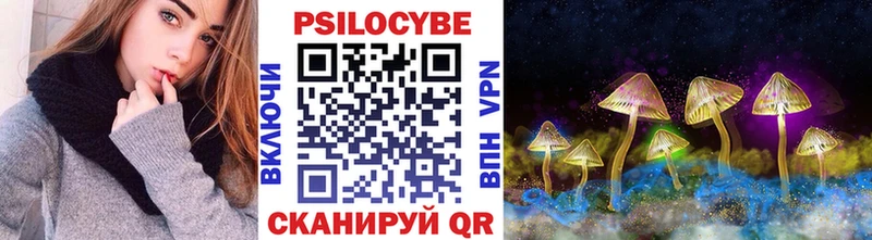 Псилоцибиновые грибы Psilocybine cubensis  Карачаевск 