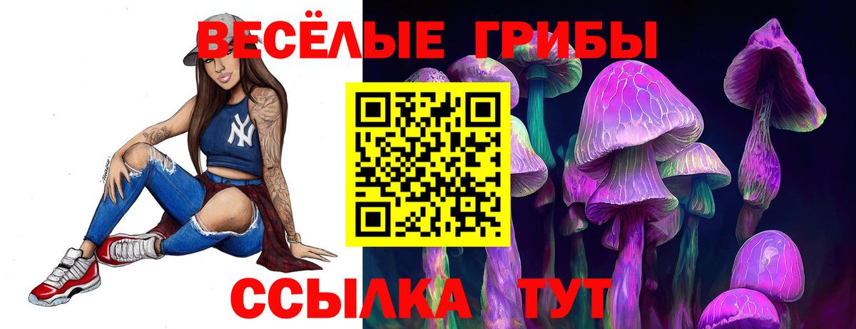 Псилоцибиновые грибы GOLDEN TEACHER  Вход с VPN  Галлюциногенные грибы MAGIC MUSHROOMS  Карачаевск 